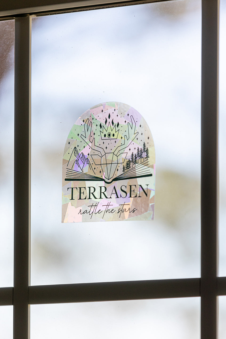 Terrasen Suncatcher Rainbow Prism Window Decal