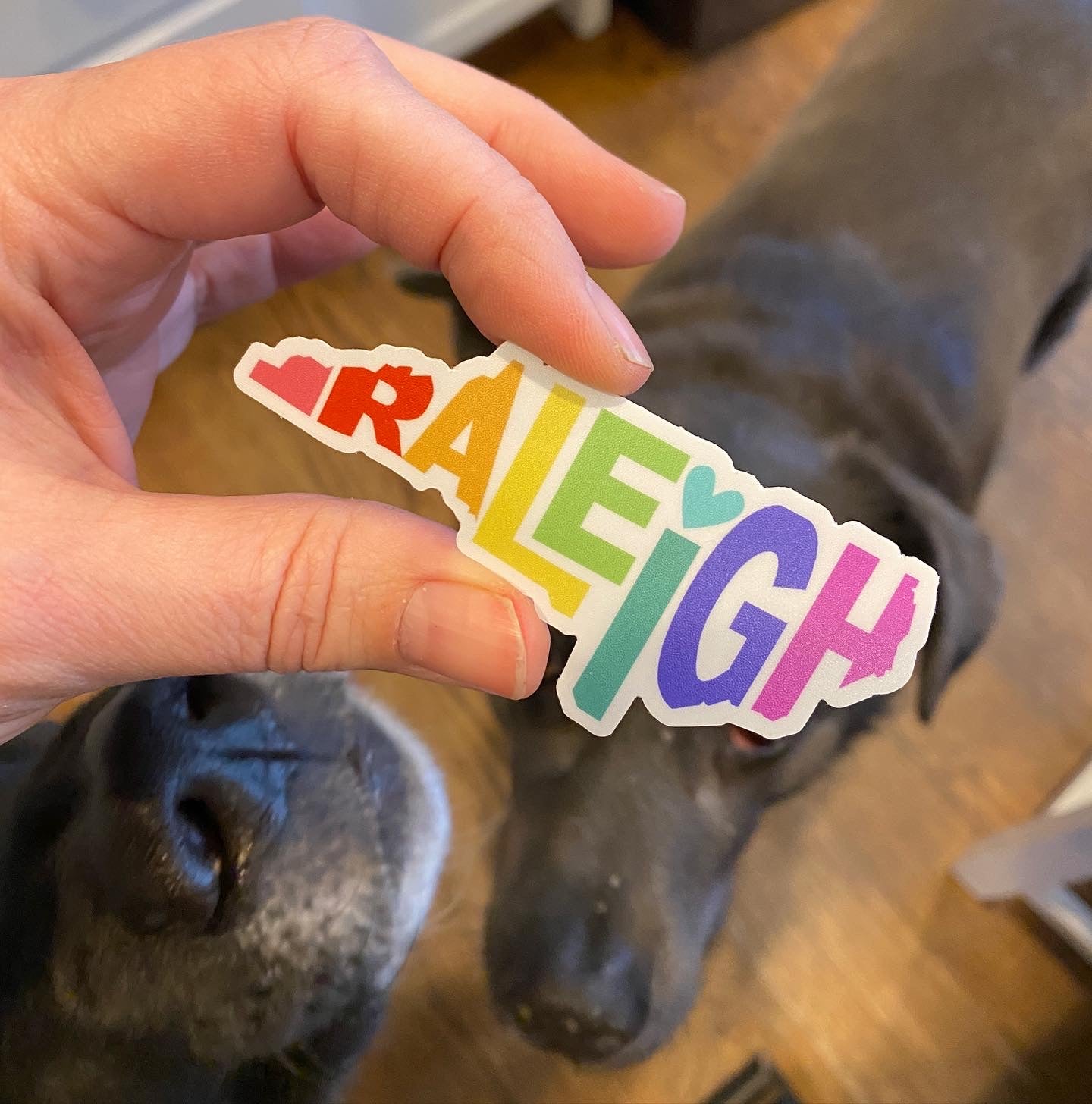 Raleigh sticker