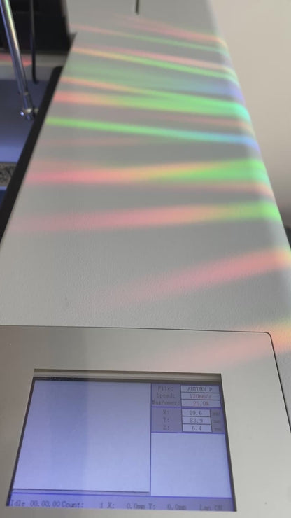 Thirteen Suncatcher Rainbow Prism Window Decal